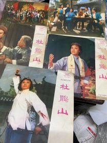 杜鹃山黑胶唱片（1-10面）5张全