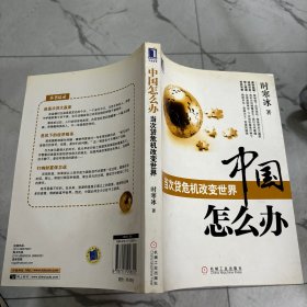 中国怎么办：当次货危机改变世界