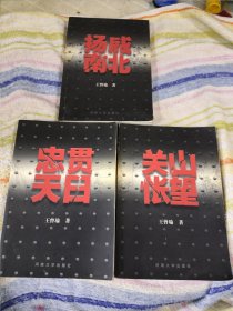 宋代纪实小说系列（.扬威南北.关山怅忘.忠贯天日）三本合售