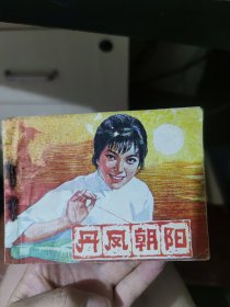 丹凤朝阳连环画 1982年2月1版1印