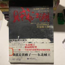 贼江湖（《天下无贼》中黎叔的原型，东北贼王狱中口述全景再现真实的黑道江湖）