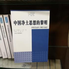 中国净土思想的黎明：净影慧远的《观经义疏》