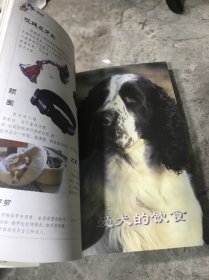 爱犬手册