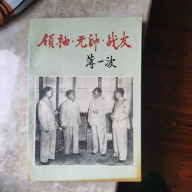 领袖元帅与战友