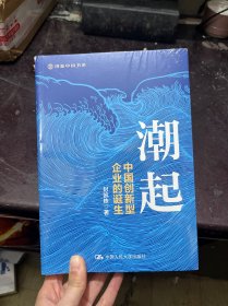 潮起：中国创新型企业的诞生