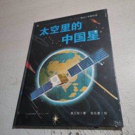 敬礼，中国科技:太空里的中国星