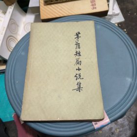 茅盾短篇小说集（上）