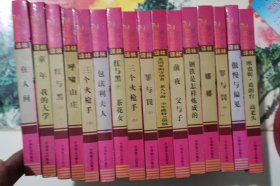 世界文学名著译林 全16卷 精装版本