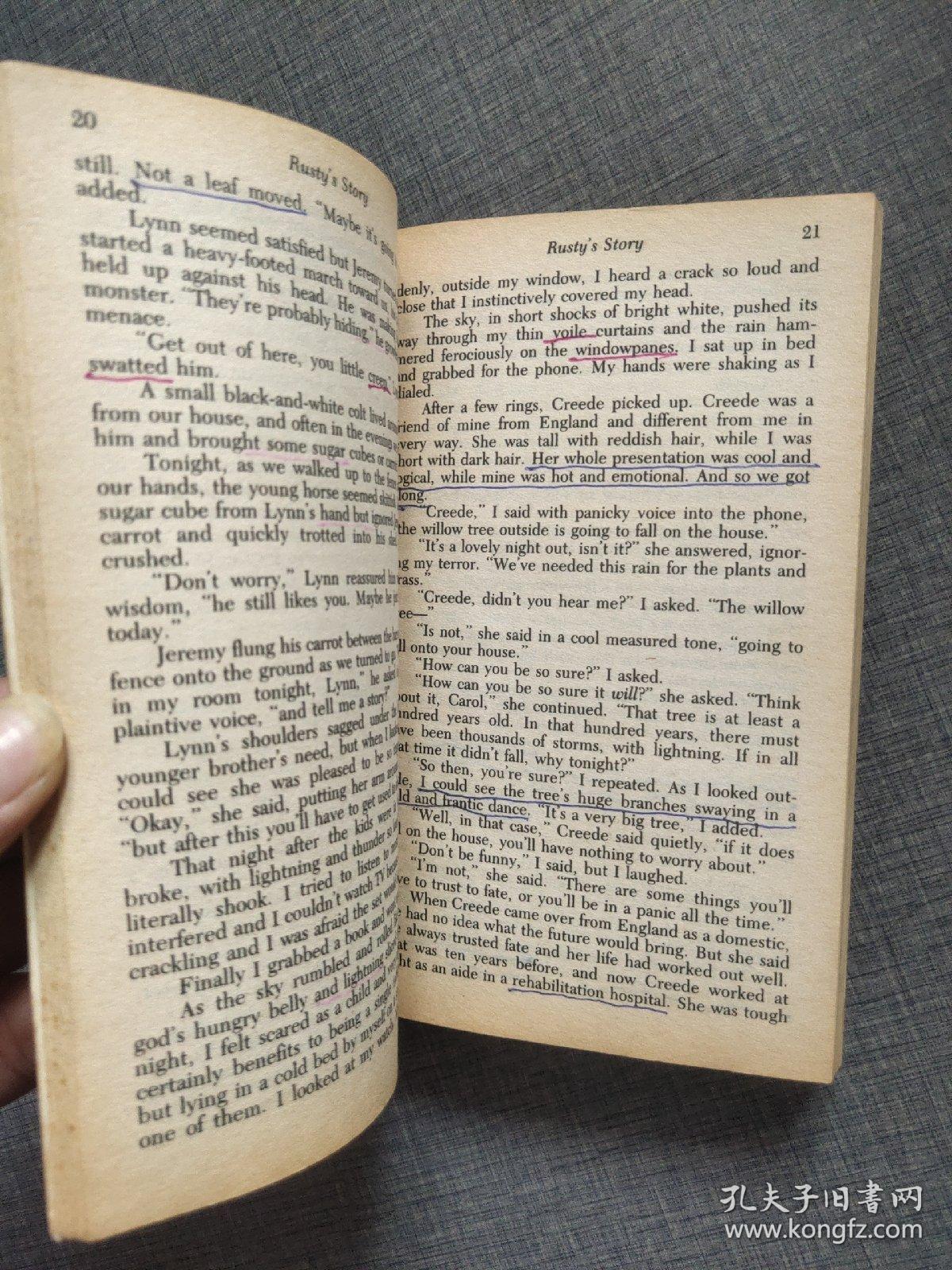 RUSTY'S STORY BY CAROL GINO