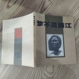 梦不见丽江（8品20开封面右下角有磨损缺损2006年1版1印2000册图文本）58038