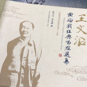 王文治黄梅戏经典唱腔选集