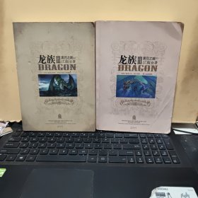 龙族Ⅲ：黑月之潮上下册（上下册都带带金页和彩页，上册2012年12月一版一印，下册2013年12月一版一印，外护封缺失，上册有藏书人签名，下册无，内页干净无笔记，详细品相已书影为准）5-5