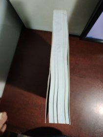 图像 声音 运动：实用媒体美学