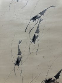 (字画议价) 虾图立轴 画心137.5*67cm
