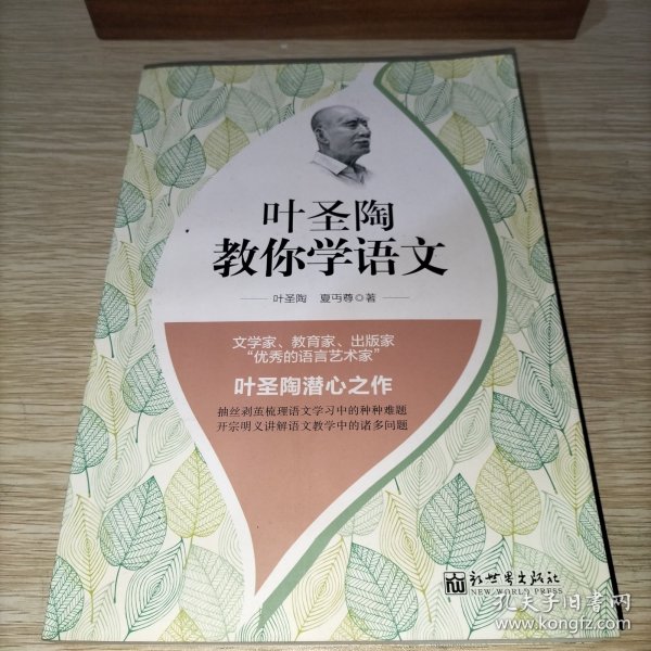 叶圣陶教你学语文