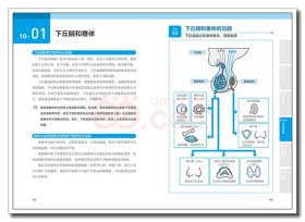 漫画基础医学：读懂解剖生理学 9787518428281