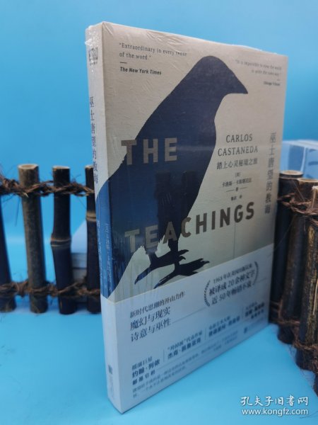 巫士唐望的教诲：踏上心灵秘境之旅