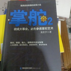 掌舵2：政商圈子生存指南