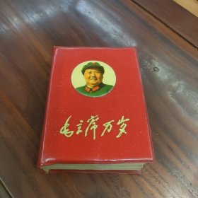 毛主席革命胜利万岁