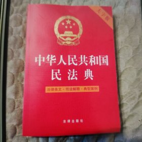 中华人民共和国民法典法律条文.司法解释.典型案例（大字版）