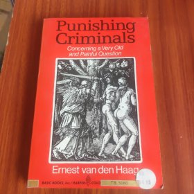 Punishing Criminals