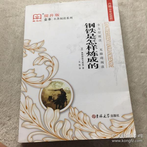 钢铁是怎样炼成的（全译本）