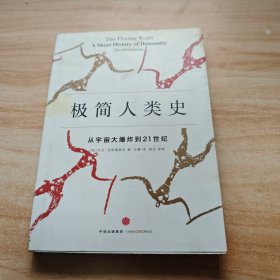 极简人类史：从宇宙大爆炸到21世纪