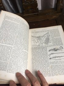 《布莱基英格兰通史》（卷3） blackie's comprehensive history of England : civil and military, religious, intellectual, and social volume III