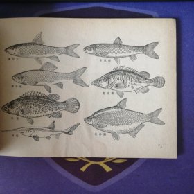 《农林牧副渔美术参考资料》 插图本(1979年3月)1 版1印 上海人民美术出 (私藏)