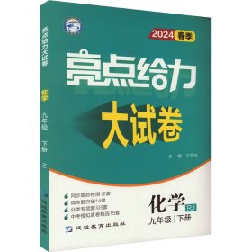 2023春亮点给力大试卷九年级化学下册人教版初三9年级教材课时提优作业同步练习期中期末单元测试卷