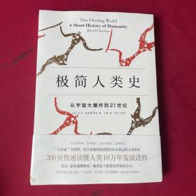 极简人类史：从宇宙大爆炸到21世纪