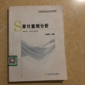 审计案例分析