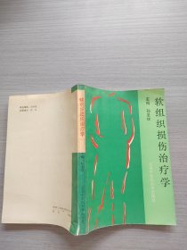 软组织损伤治疗学
