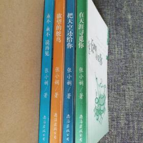 张小娴作品（4册合售）
在天涯寻觅你
把天空还给你
永不永不说再见
欲望的鸵鸟