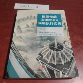 担保借款法律难点及强制执行实务