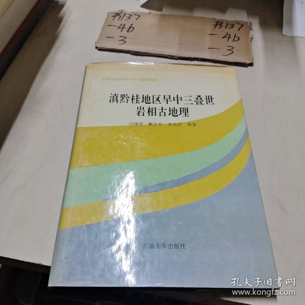 滇黔桂地区早中三叠世岩相古地理