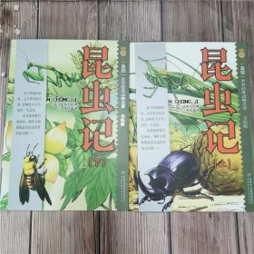 昆虫记 美绘版(全2册)