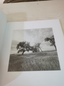 Robert Adams: Cottonwoods 罗伯特亚当斯: 白杨