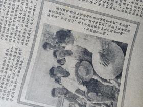 1974年《解放日报》全国象棋类比赛在成都举行，山东临沂发掘西汉前期古墓中发现《孙子兵法》和《孙膑兵法》，引起日本文化界重视。上海“大庆十六”油轮多装快跑不断前进。嘉定县马陆公社图片新闻，上海酿造厂理水养鱼灭孑孓，稻田灭蚊办法多。上海打火机厂学习马克思主义观点研究《封建论》，金山县松隐公社浩光大队贫下中农理论队伍。