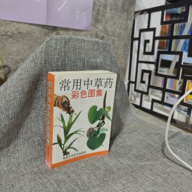 常用中草药彩色图集