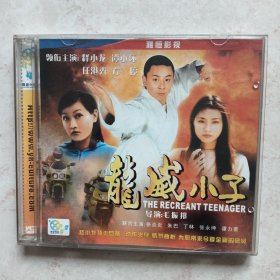 龙威小子（VCD2片装）