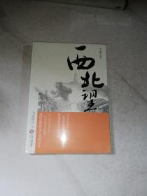 西北望（长篇民国历史小说：1941，从无锡到延安，一段险象环生的生死逃亡，一场青春无悔的人生抉择）