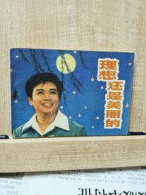 理想还是美丽的连环画