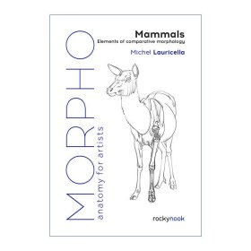 Morpho: Mammals 艺用人体结构 哺乳动物 比较形态学的要素 绘画指南