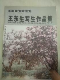 王东生写生作品集（2007年一版一印）