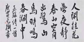 范扬 书法字画四尺横幅(买家自鉴)