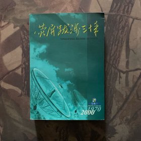 荧屏跋涉三十年