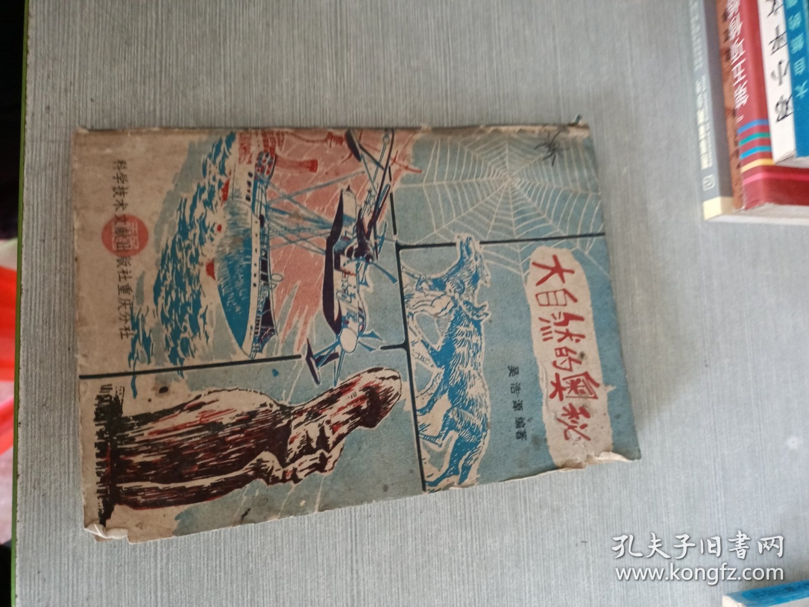 点击查看原图 大自然的奥秘