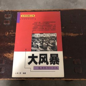 大风暴