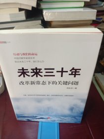 未来三十年：改革新常态下的关键问题